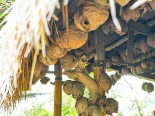 Nang Taro Home Stay - Penginyahan - 7