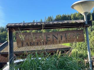 Wiesenhof - Reith im Alpbachtal - 5
