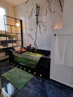 Appartement Tours centre - Tours - 5
