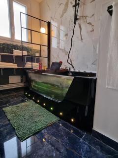Appartement Tours centre - Tours - 3