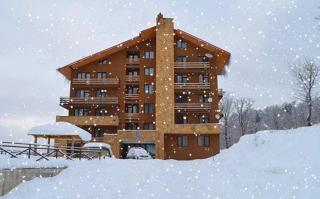 My Sweet Home in Bakuriani - Bakoerjani - 0
