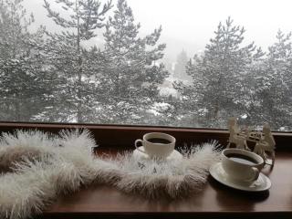 My Sweet Home in Bakuriani - 1