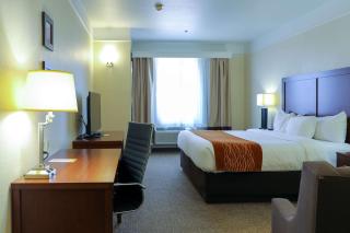Comfort Inn & Suites, Odessa I-20 - 3