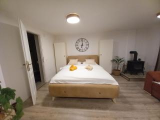 Studio apartman Singer - 7