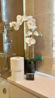 LUXURY SPACIOUS - 1 BR - SKY GARDENS DIFC - Heart of Trade Centre and Dubai Mall - Dubai - 3