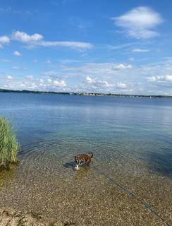 Große Ferienwohnung, Klima in den Schlafzimmern, 3 Zimmer, Balkon & große Küche - In Seenähe, schnell in der Stadt - 6