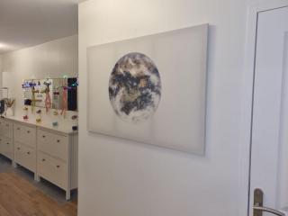 L'univers au blanc. - Strasburgo - 4