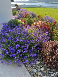 Sea Vista - Rathmullan - 6