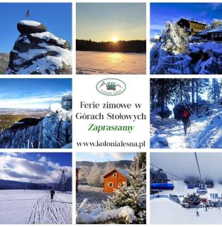 Domki KOLONIA LEŚNA z sauną i gorącą balią - 2