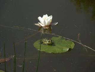 Vakantiehuis met Jacuzzi 4 personen - 2