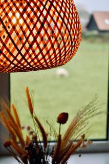 De Viool Appartementen - 6