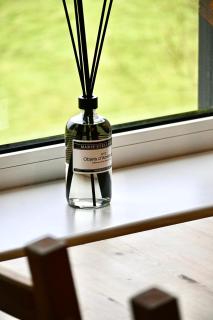 De Viool Appartementen - 2