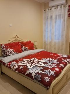 Penthouse Oasis - Atene - 8