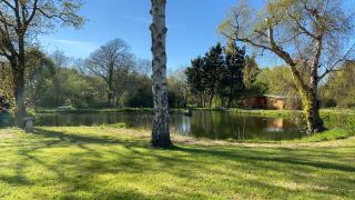 Still Waters - Hill Head - 0