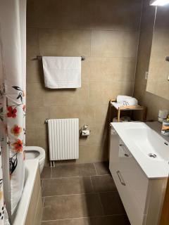 APARTAMENT ROSY - Interlaken - 4