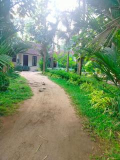 Marari Greenland Homestay - 9