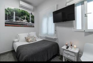 Estudio Plaza Neptuno - Madrid - 0