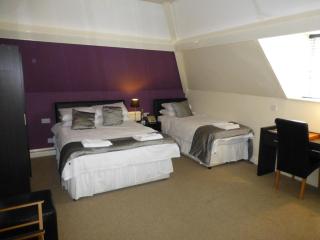 Maes Manor Country Hotel - Blackwood - 1