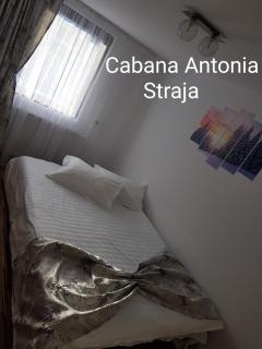 Cabana Antonia - Straja - 6