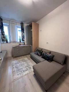Cozy 1 bedroom apartment! - Bucarest - 5