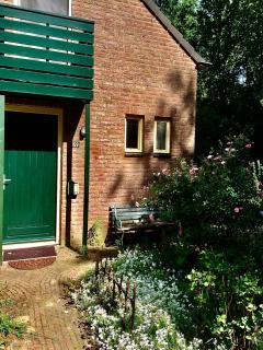 Blauwe Lelie - Ewijk - 9