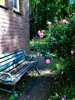 Blauwe Lelie - Ewijk - 8