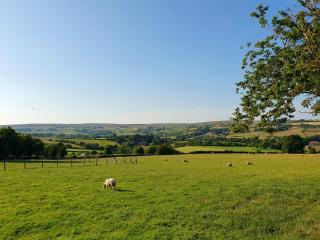 Ingleside Cottage - Glaisdale - 8