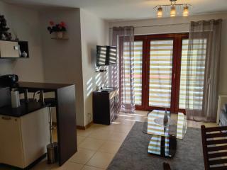 Sentymentalne Kościelisko Apartament & SPA - Kościelisko - 8