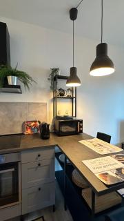 BELLAVISTA-lake view apartment - Ranco - Ranco - 5