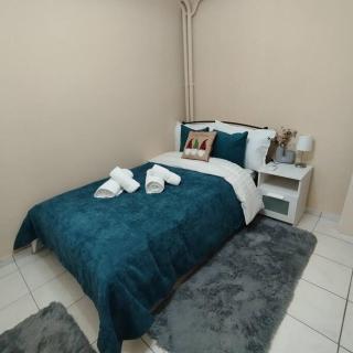 Elite city apartment - Ioannina - 9
