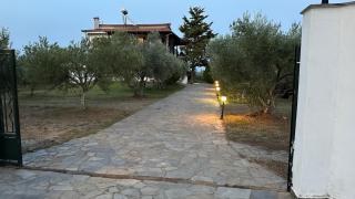 MaVitaPlace Olympus Olive Oasis House - Leptokaryá - 7