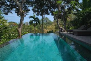 The Damai - Lovina - 8