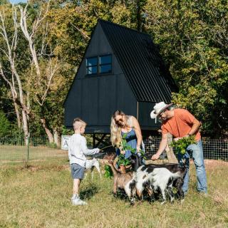 Fountainside A Frame TreeHouse Romantic Nature Farm Getaway - 7