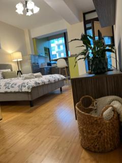 Luxury Studios Copou - Iaşi - 6