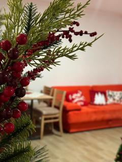 Silver Pine Kopaonik - 5