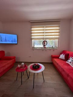 Silver Pine Kopaonik - 7