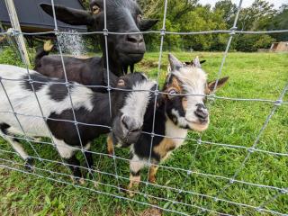 Meadow View Romantic Nature Stay w Barn, Outdoor Tub and Sauna - 7