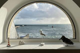 L'abri du canot face à la mer - 6