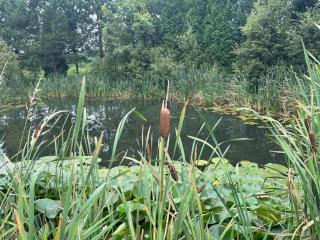 Le Gaston, chalet en campagne - 1