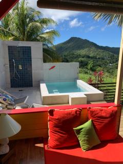 Case Oiseaux de paradis avec piscine - 1