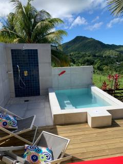 Case Oiseaux de paradis avec piscine - Sainte-Rose - 9