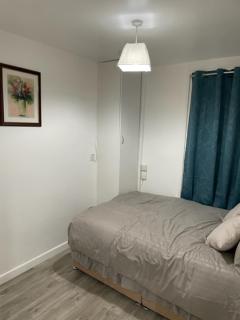Luxury 2 bedrooms flat Leytonstone - Londra - 0