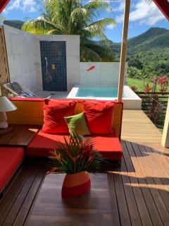 Case Oiseaux de paradis avec piscine - 7