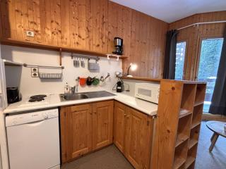 Appartement aux pieds des pistes, 2 balcons, internet gratuit - idéal famille 4 pers. - FR-1-634-98 - 6