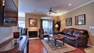 Amazing Casita with Upgrades Galore - Scottsdale - 6