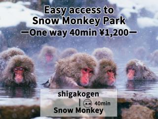 Shiga Swiss Inn - Yamanouchi - 9