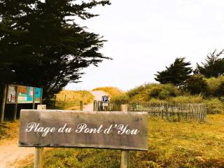 L'Ecoliere - Notre-Dame-de-Monts - 0