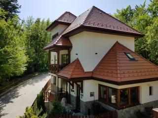 Alfinio Villa - Sinaia - 8