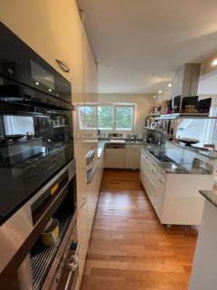 Spacious and stylish Apartment in Zurich - 1