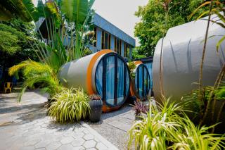 White Rabbit Hostel - 4